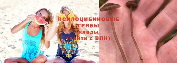 герыч Богородицк