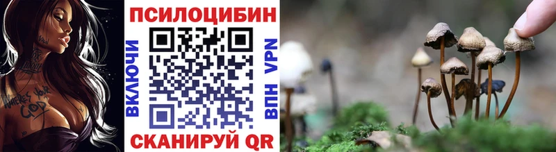Псилоцибиновые грибы GOLDEN TEACHER  Киржач 